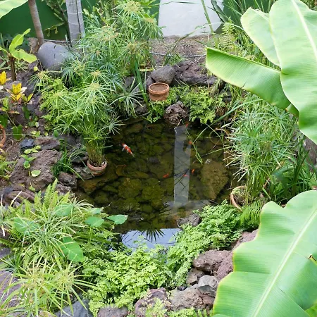 アパート 928 Amazing View El Dorado プラヤ・デ・ラス・アメリカス