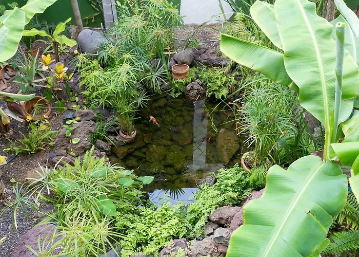 公寓 928 Amazing View El Dorado 美洲海滩